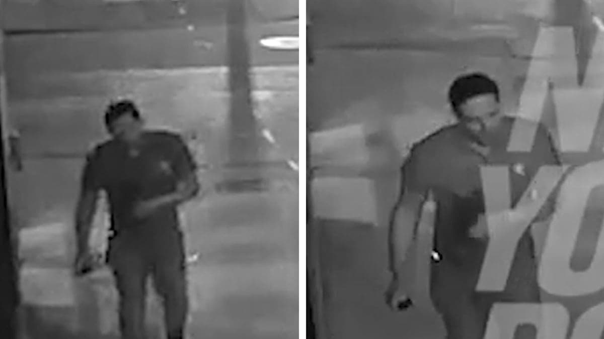 Mark Sanchez: From Game Field to Hospital Bed—A Dramatic Stabbing Incident Unfolds!