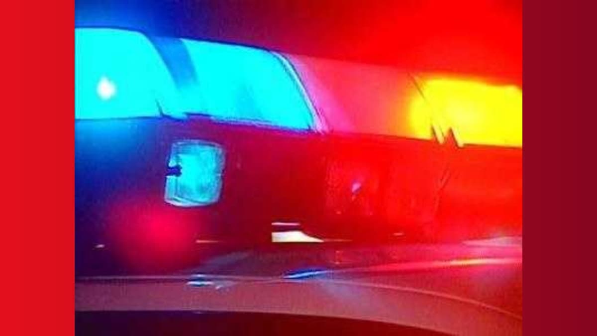 Pedestrian Hit and Run: A Deadly Game of Dodgeball on South Sacramento Streets!