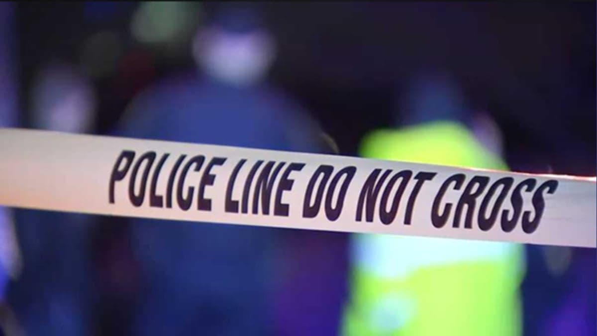 Mystery at Condon Park: A Shocking Death and Unanswered Questions
