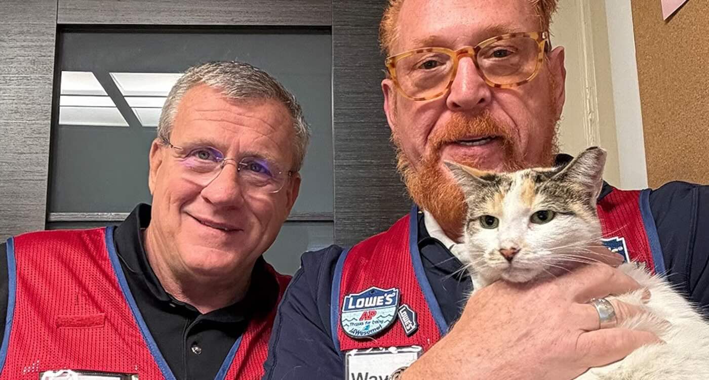 Feline Frenzy: The Heartwarming Tale of Francine, the Lowes Cat Who Went on an Unexpected Adventure!