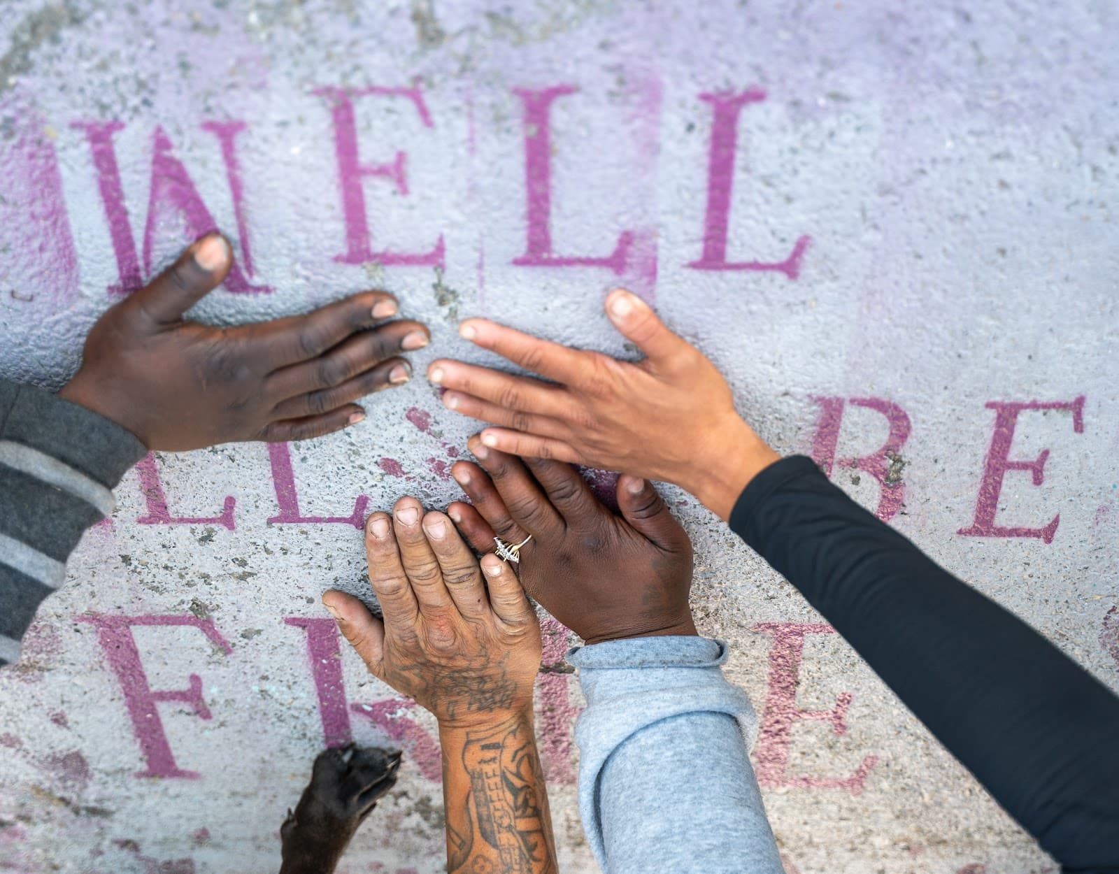 When Hope Meets Concrete: The Fight for a Place to Call Home