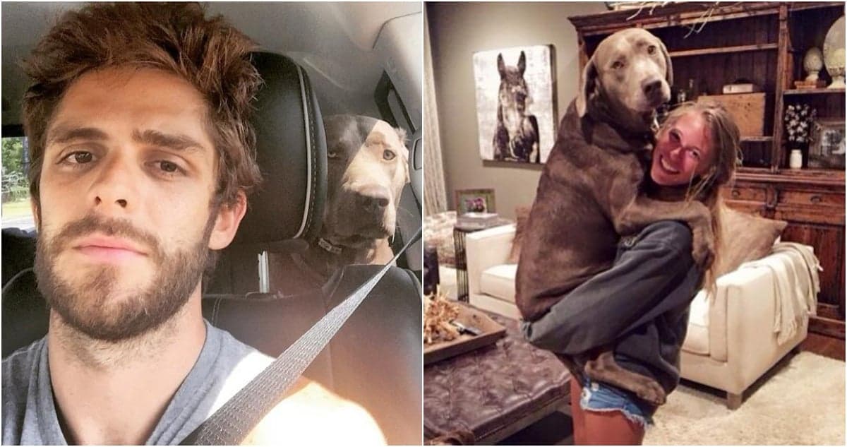 Thomas Rhett's Heartfelt Goodbye: Remembering Cash the Dog