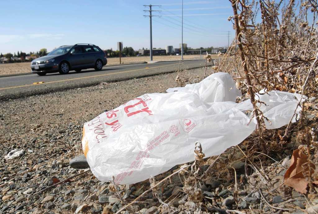 California Takes the Plastic Bag Fight to Court: Are Companies in Hot Water?