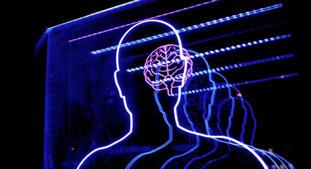 Could Vitamin K Be the Secret Weapon Against Alzheimer's?