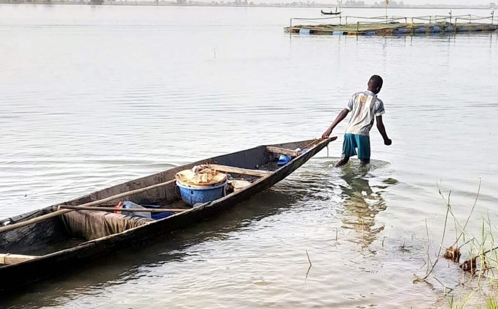 Niger's Awesome Health Win: How Ivermectin Helped Erase River Blindness!