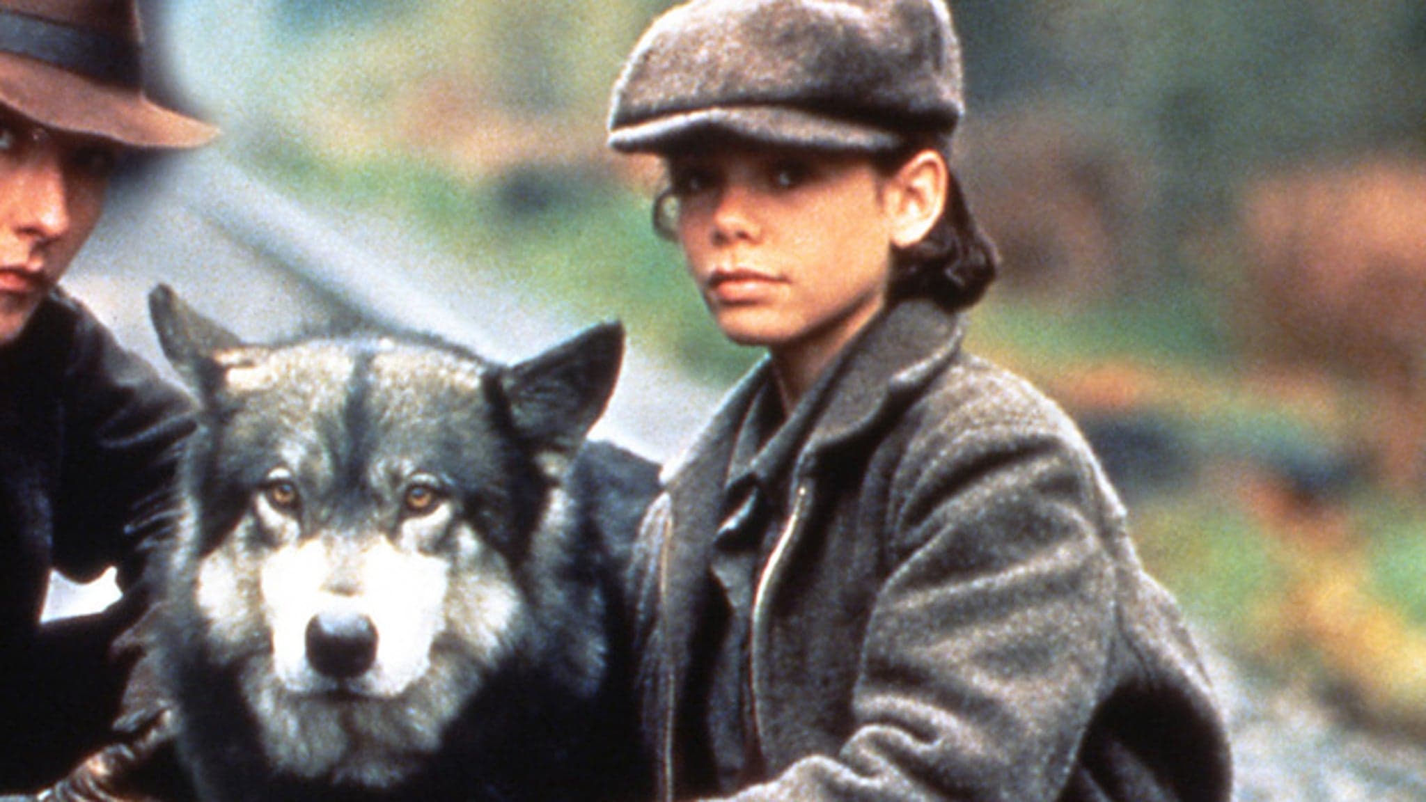 What Ever Happened to Natty Gann? The Journey Continues!