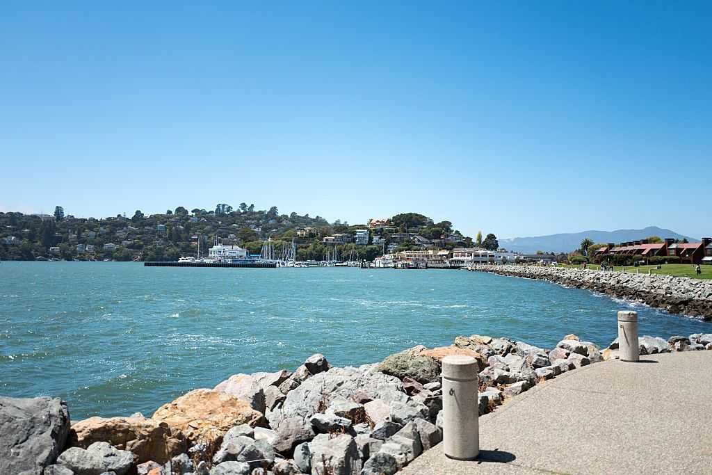 Tiburon Sparks a Tobacco Revolution: No Puff Left Behind!