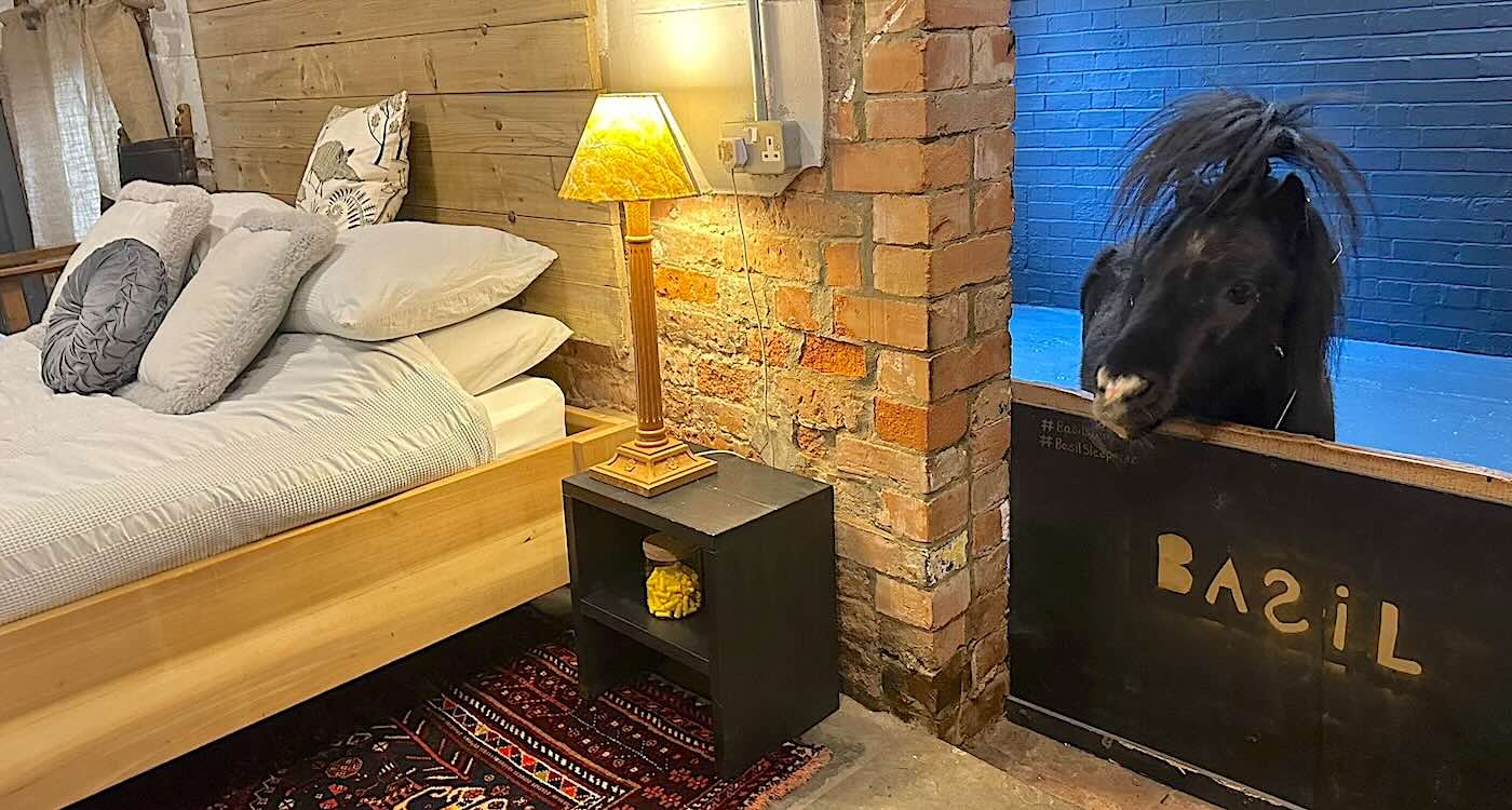 Sleepover with a Shetland: This Airbnb Will Horse-ify Your Staycation!