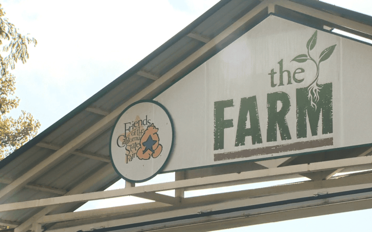 Hidden Gem: How a Secret Farm at Cal Expo is Feeding Sacramento Families
