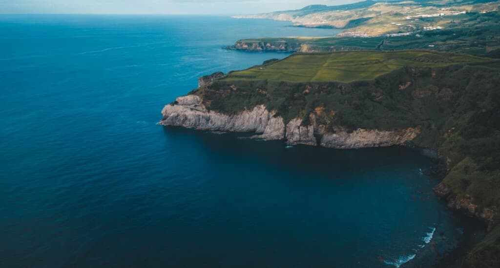 Making Waves: A Sanctuary for Whales in the Atlantic!