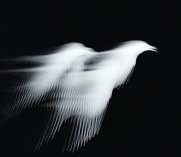 When a Chance Encounter Transforms a Life: The Ripple Effect of Kindness