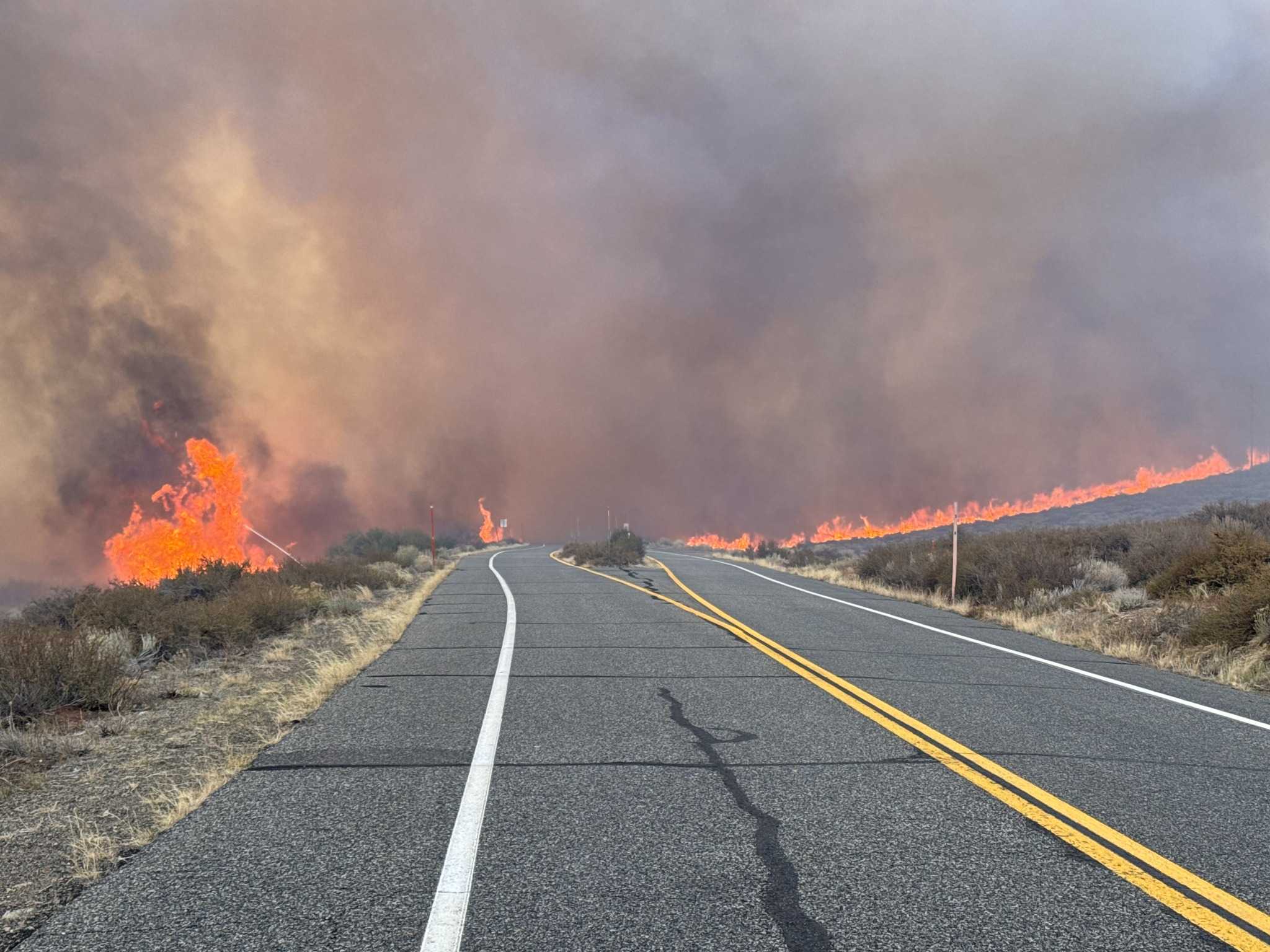 Flames and Evacuations: Inside the Wrath of the Pack Fire in Mono County