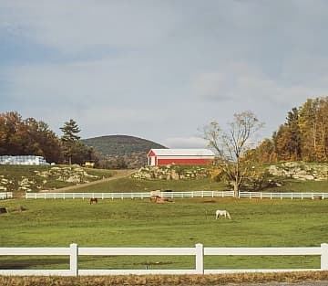 Farming vs. Fortune: Bridging the Urban-Rural Divide One Fellowship at a Time