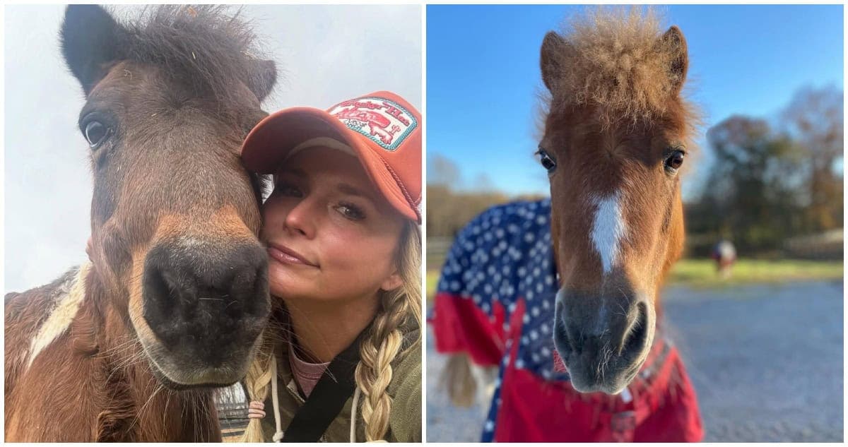 Miranda Lambert's Heartbreak: A Country Star Bids Farewell to Sugar Pie and Adrianna