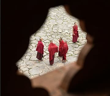 Unlocking Animal Advocacy: The Fifth Monk's Quest to Connect