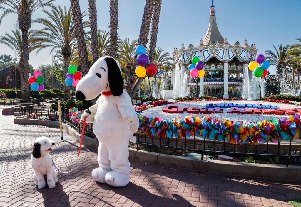 Ready for the Ride? Six Flags Names New CEO Amid Closures and Changes!