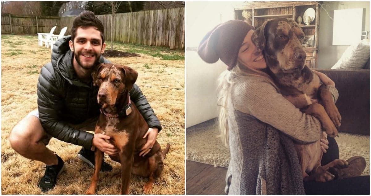 Heartbreak Hits Home: Thomas Rhett Mourns His Beloved Dogs, Kona and Cash
