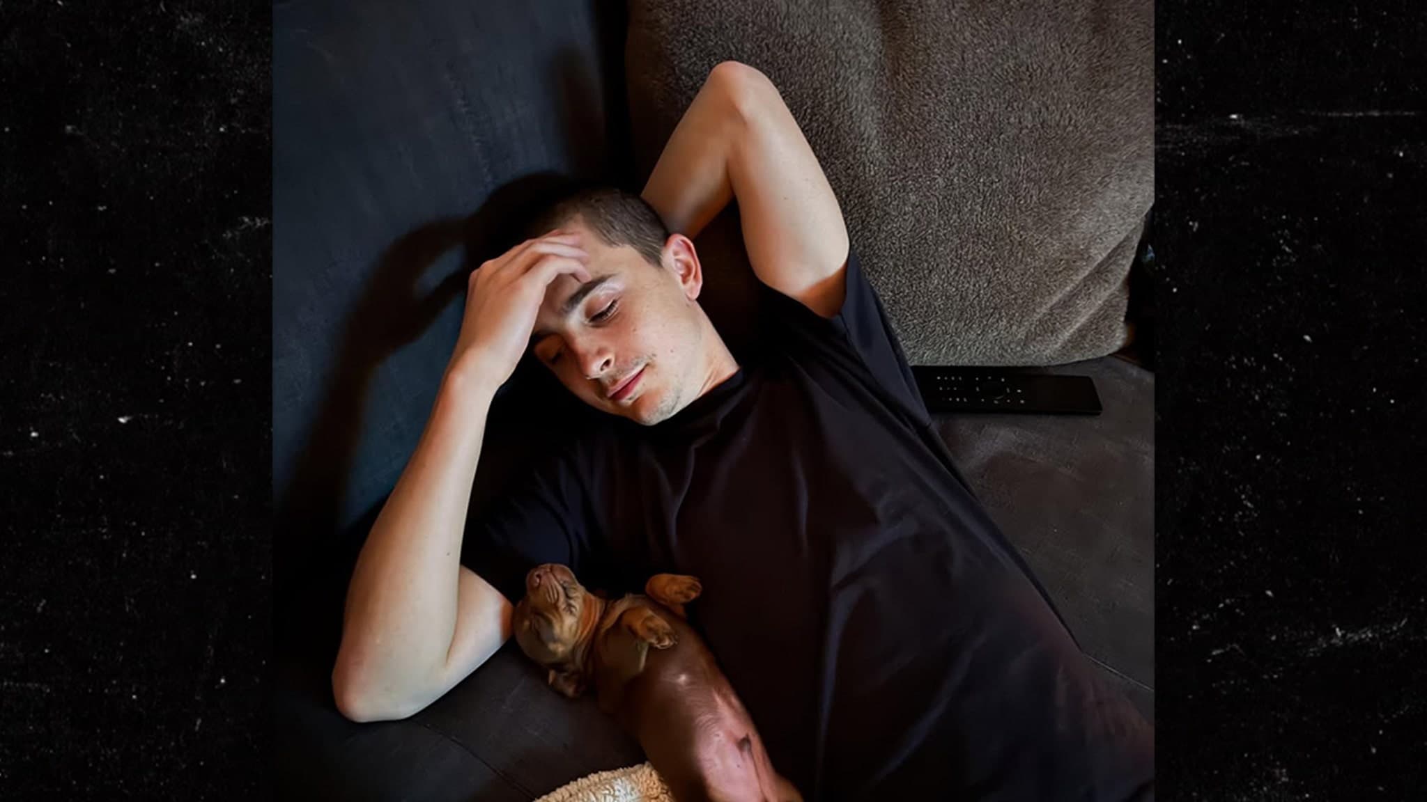 Timothee Chalamet’s New Co-Star: An Adorable Puppy Takes Center Stage!