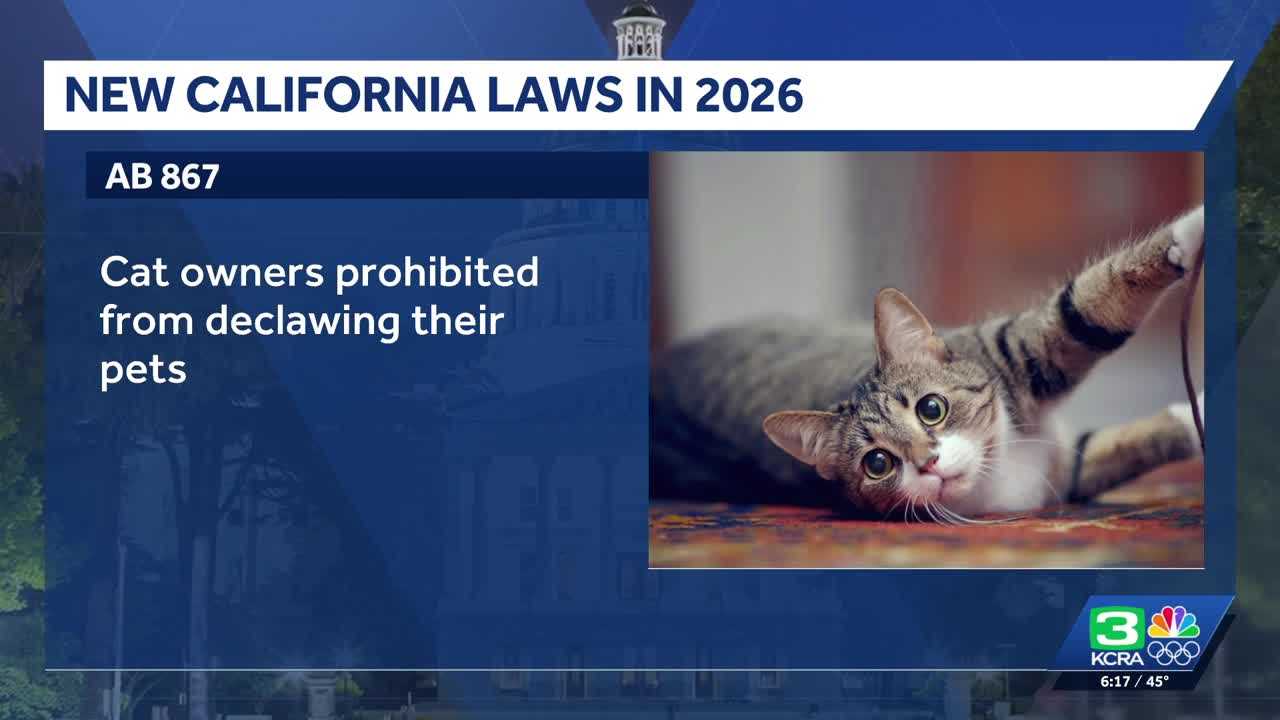 California's Upcoming Laws: Capping Insulin Costs, Banning Cat Declawing, and More!