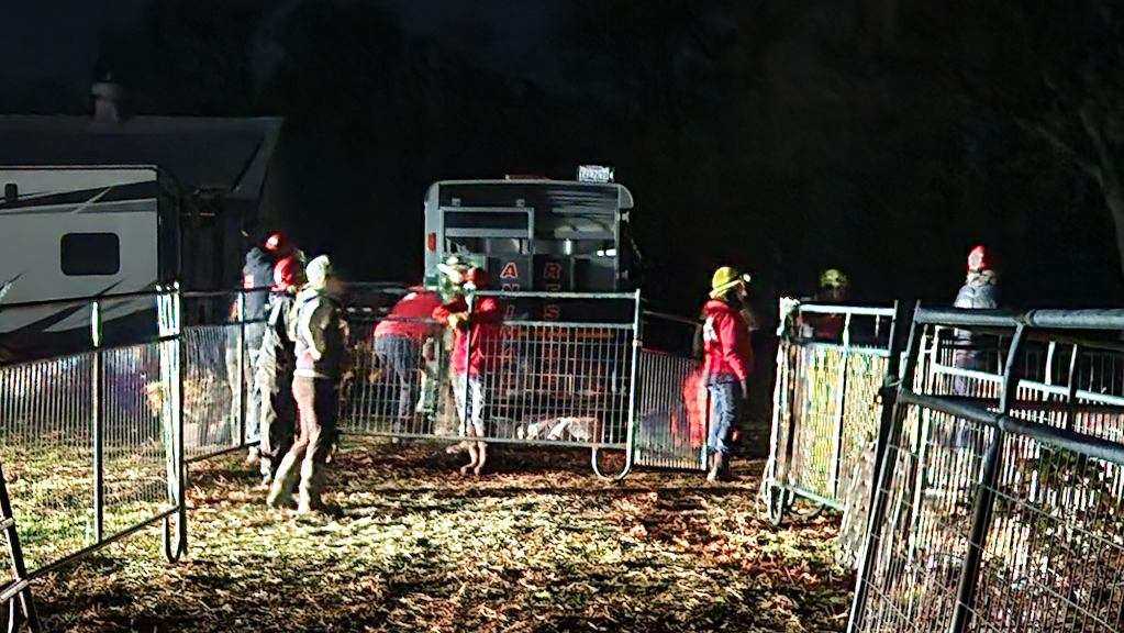 Rescue Mission Gone Wild: Over 200 Animals Seized in Grass Valley!