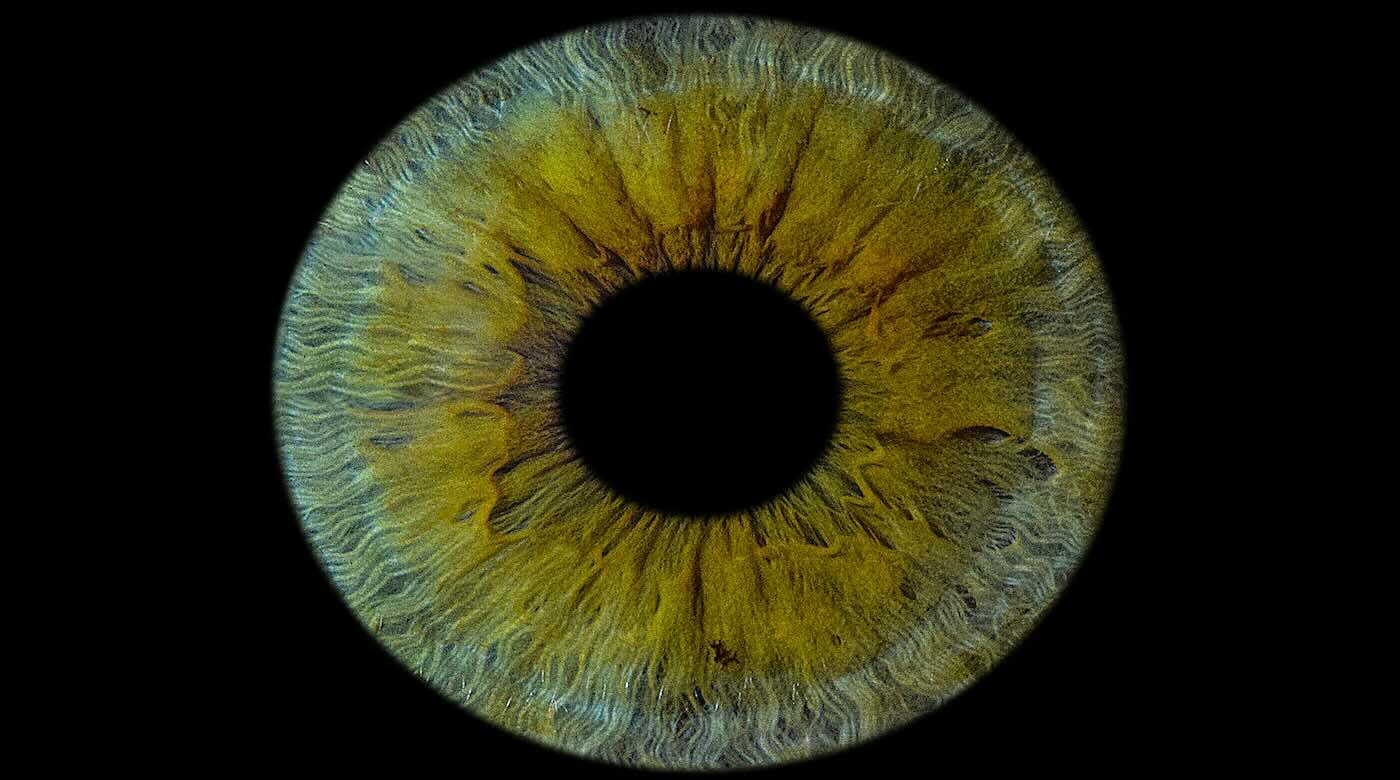 Forget Donor Lists: 3D-Printed Corneas Are Here to Restore Your Vision!